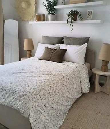 Lumineux Daire Argenteuil